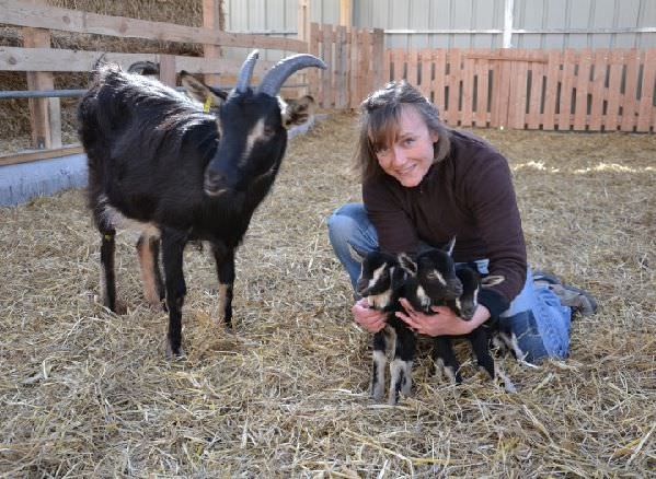 De la Ferme de Cécile aux savons bio