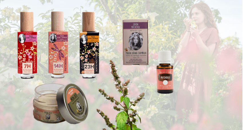 Présentation de l'huile essentielle de patchouli