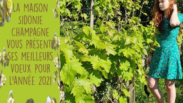 Bonne année 2021 !