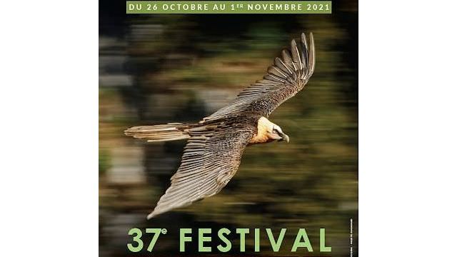 Rendez-nous visite lors du Festival du film ornithologique de Ménigoute