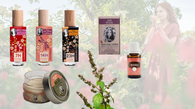 Présentation de l'huile essentielle de patchouli Image Présentation de l'huile essentielle de patchouli