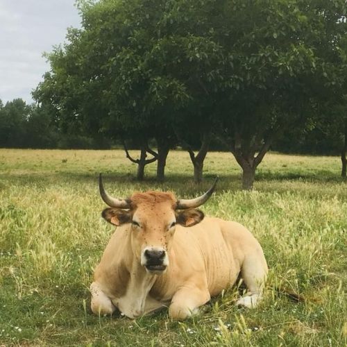 Le grand marché bio de La Ferme de Bonneville