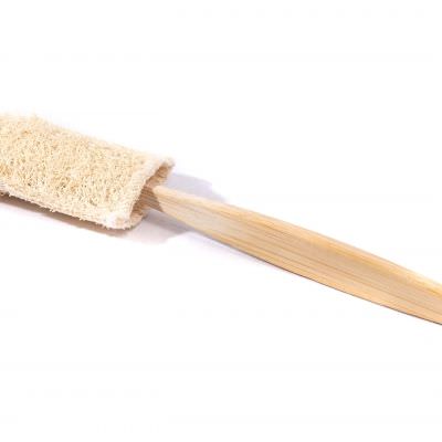 Lot de 4 + 1 protèges brosse à dent en luffah (exclusivité MSC)