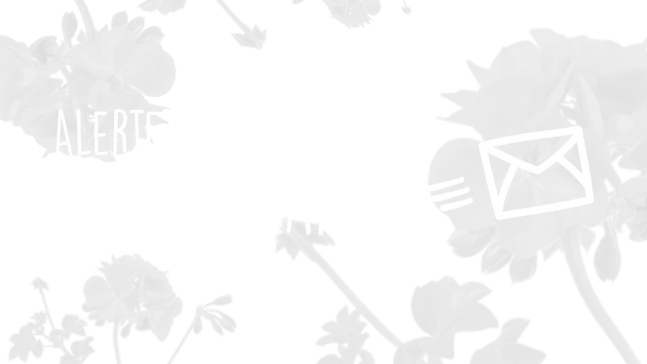 Inscription newsletter Image Newsletter